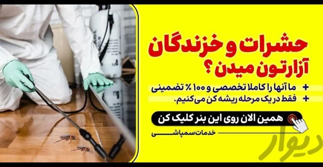 گروه سمپاشی اهوازسم پاشی تمام حشرات باضمانت کتبی|خدمات نظافت|اهواز, پادادشهر|دیوار