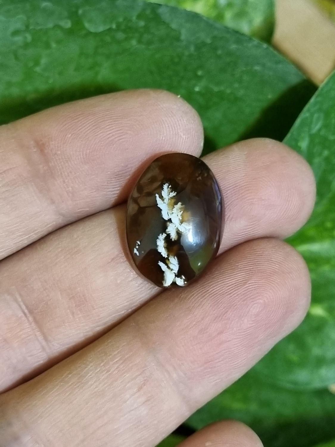 سنگ عقیق.. شجر ..و فیروزه اصل|جواهرات|نجفآباد, ریاضی|دیوار