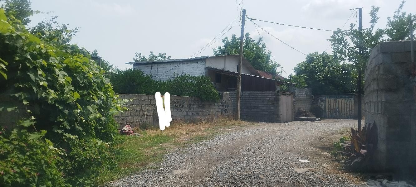 فروش زمین ۲۵۰ متری در روستای دونه سر بابل|فروش زمین و ملک کلنگی|تهران, شادآباد|دیوار