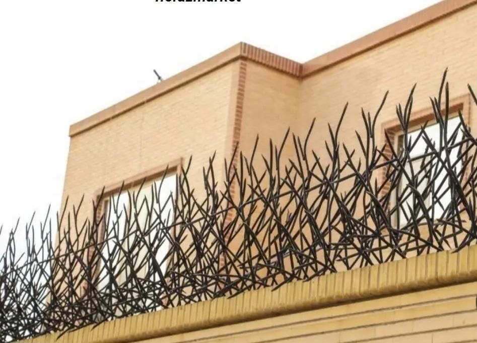 حفاظ روی دیوار شاخگوزنی میلگردی ،بوته ای،در پنجره|خدمات پیشه و مهارت|مشهد, الهیه|دیوار