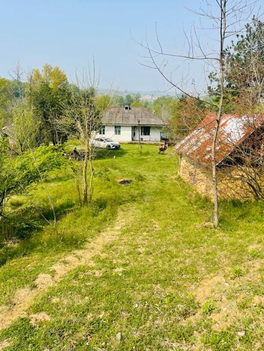 مثه این زمین نداریم خدایش تو گیلان صفر جنگل|فروش زمین و ملک کلنگی|شفت, |دیوار