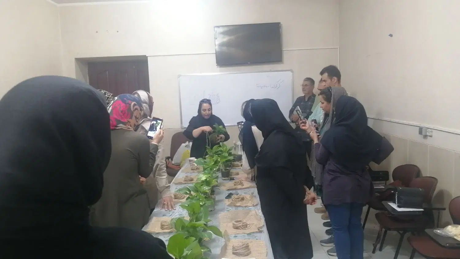 دوره پرورش گلهای آپارتمانی،کاکتوس،کوکداما،بام سبز|خدمات آموزشی|نجف‌آباد, امیرآباد|دیوار