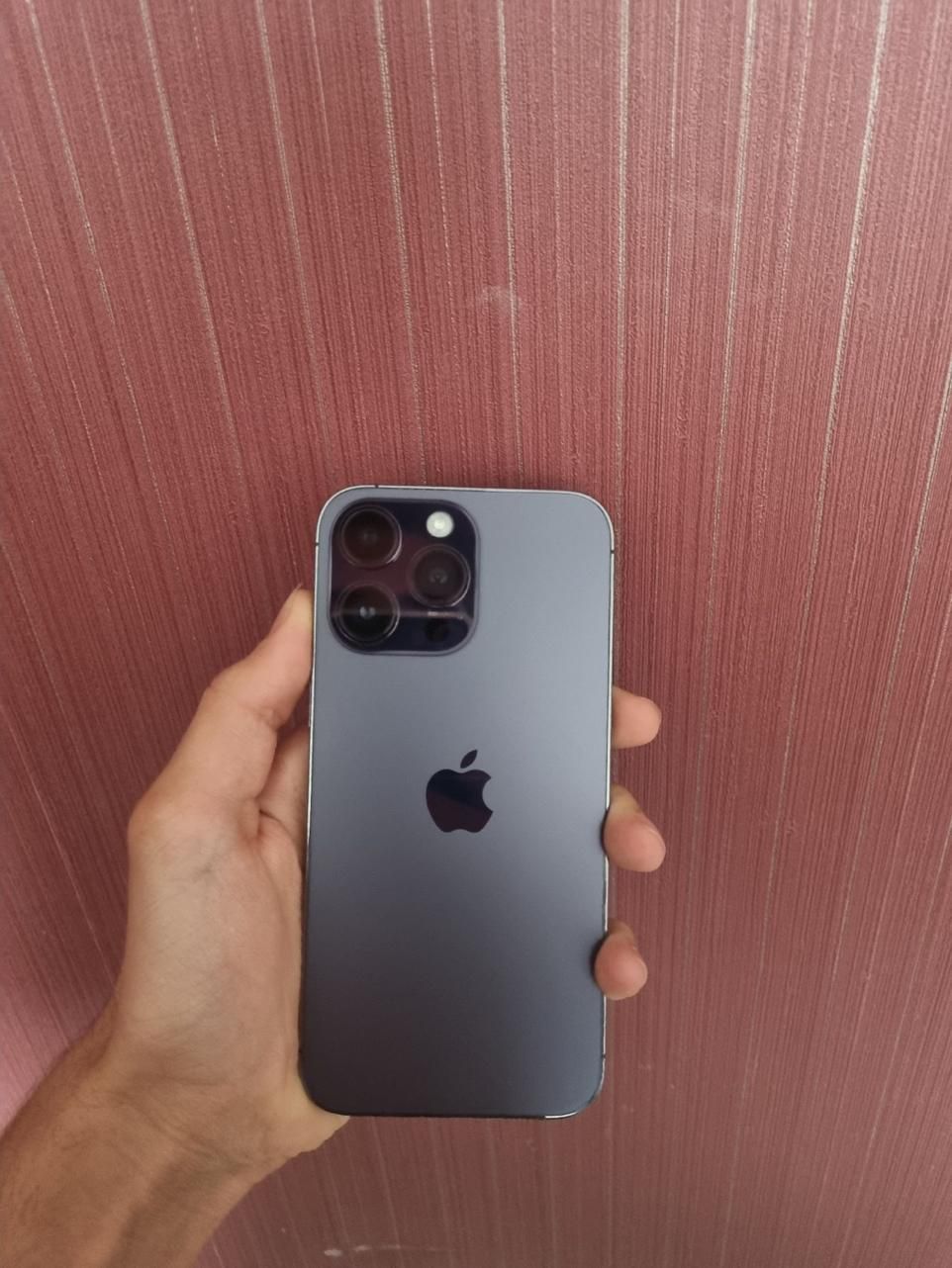 اپل iPhone 14 Promax با حافظهٔ 256 گیگابایت|موبایل|شیراز, زند|دیوار