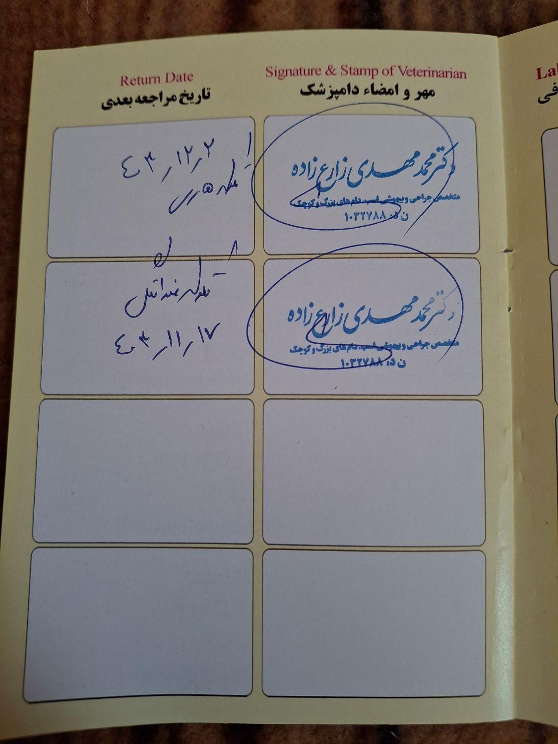 نر۲ساله نگهبانی عالی|سگ|یزد, |دیوار