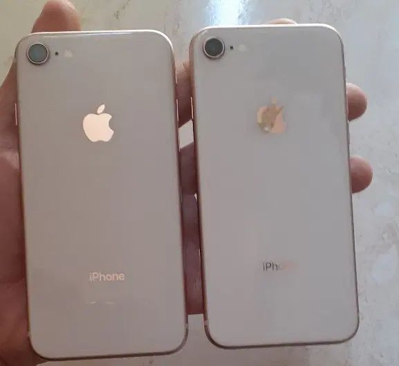 iphone 8 gold بدون نقطه همه چی فابریک لوازم تکمیل|موبایل|مشهد, سرافرازان|دیوار