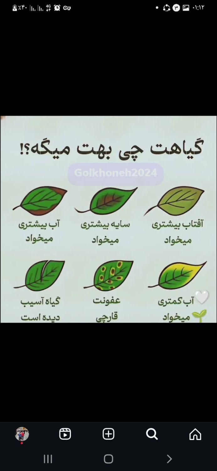 نظافت منزل و راه پله و پارکینگ|خدمات نظافت|پردیس, |دیوار