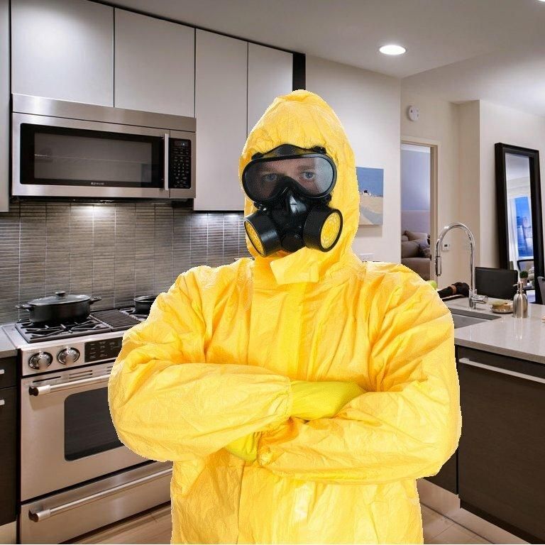 سمپاشی(شبانه روزی)موریانه سوسک ساس سم پاشی/تضمینی|خدمات نظافت|اهواز, کوی فرهنگیان ۱|دیوار