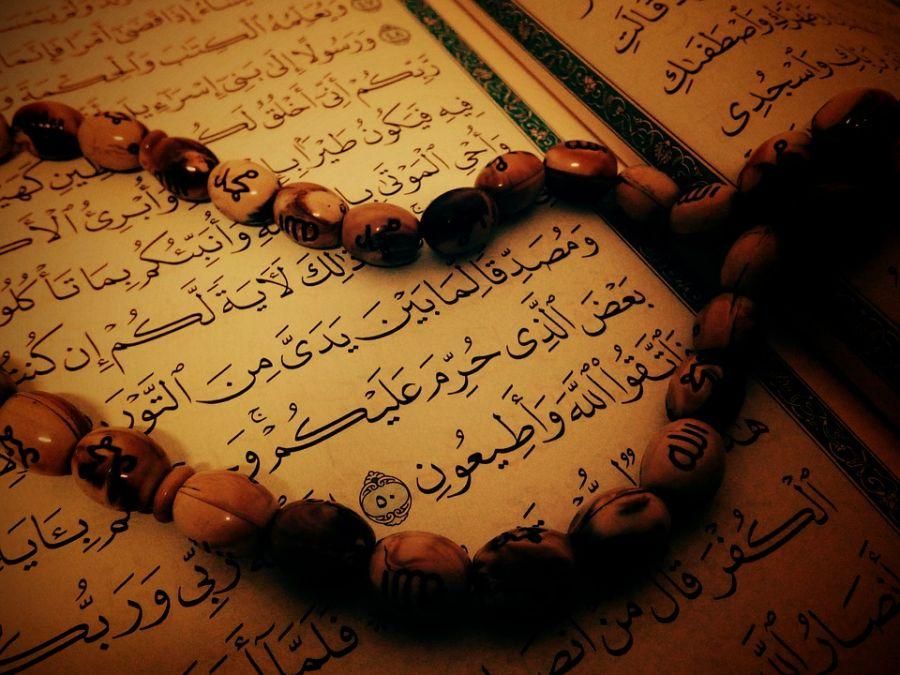 آموزش، استخاره|کتاب و مجله آموزشی|کرج, عظیمیه|دیوار