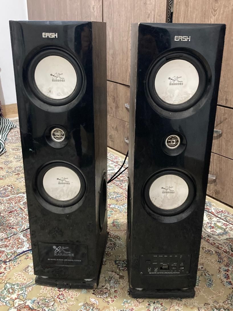 اسپیکر ایستاده دو قلو ersh|سیستم صوتی خانگی|رشت, تازه آباد|دیوار
