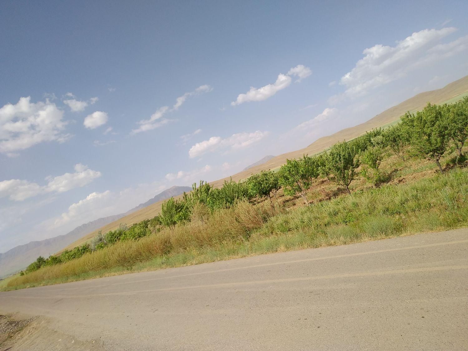 زمین کشاورزی۷ هکتار با آب ۴ اینچ ۱۸ ساعت|فروش دفتر صنعتی، کشاورزی، تجاری|خمین, |دیوار