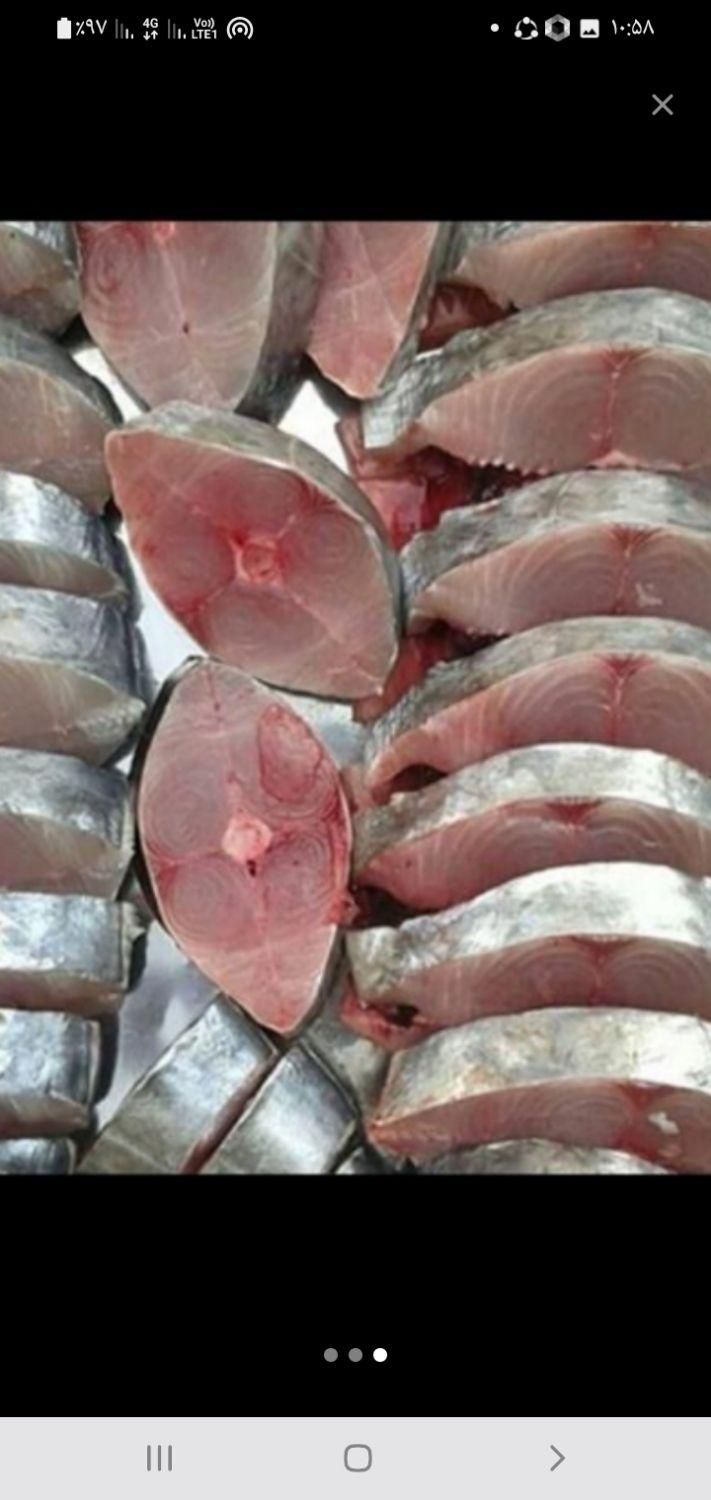 ماهی میگو تازه وبدون استخوان وگوشتی جنوب ومیگو|خوردنی و آشامیدنی|بجنورد, |دیوار