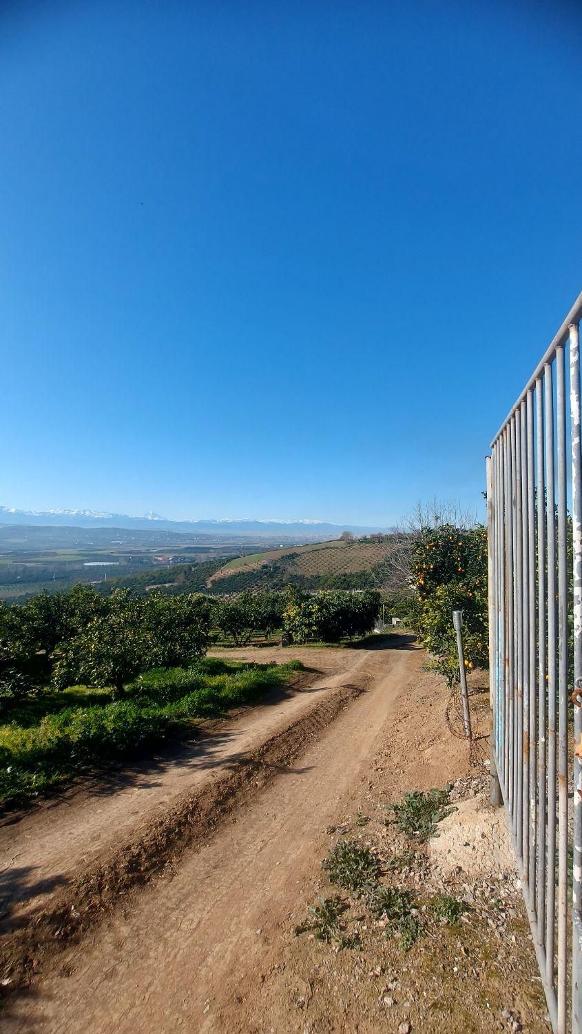 زمین دو نبش با چشم انداز ابدی|فروش زمین و ملک کلنگی|ارطه, |دیوار