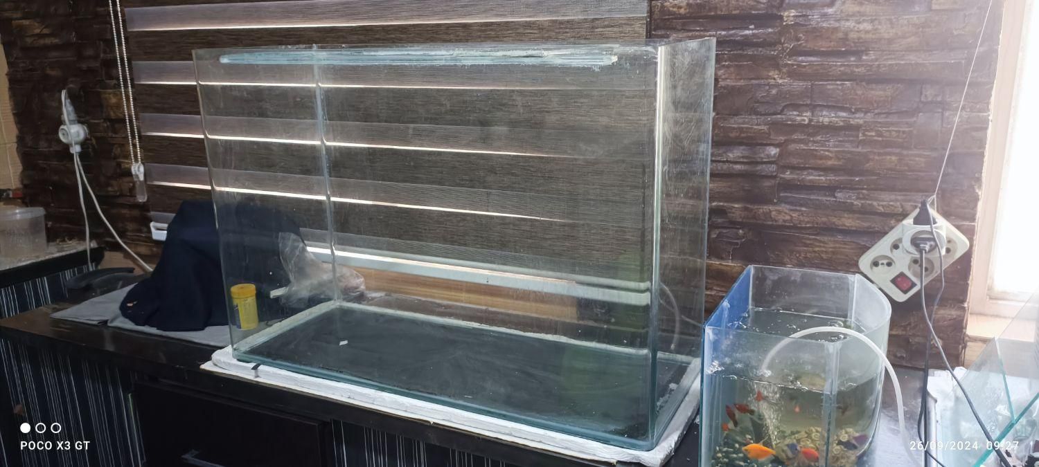 آکواریوم شیشه. خم|ماهی|اسلام‌شهر, شهرک الهیه|دیوار