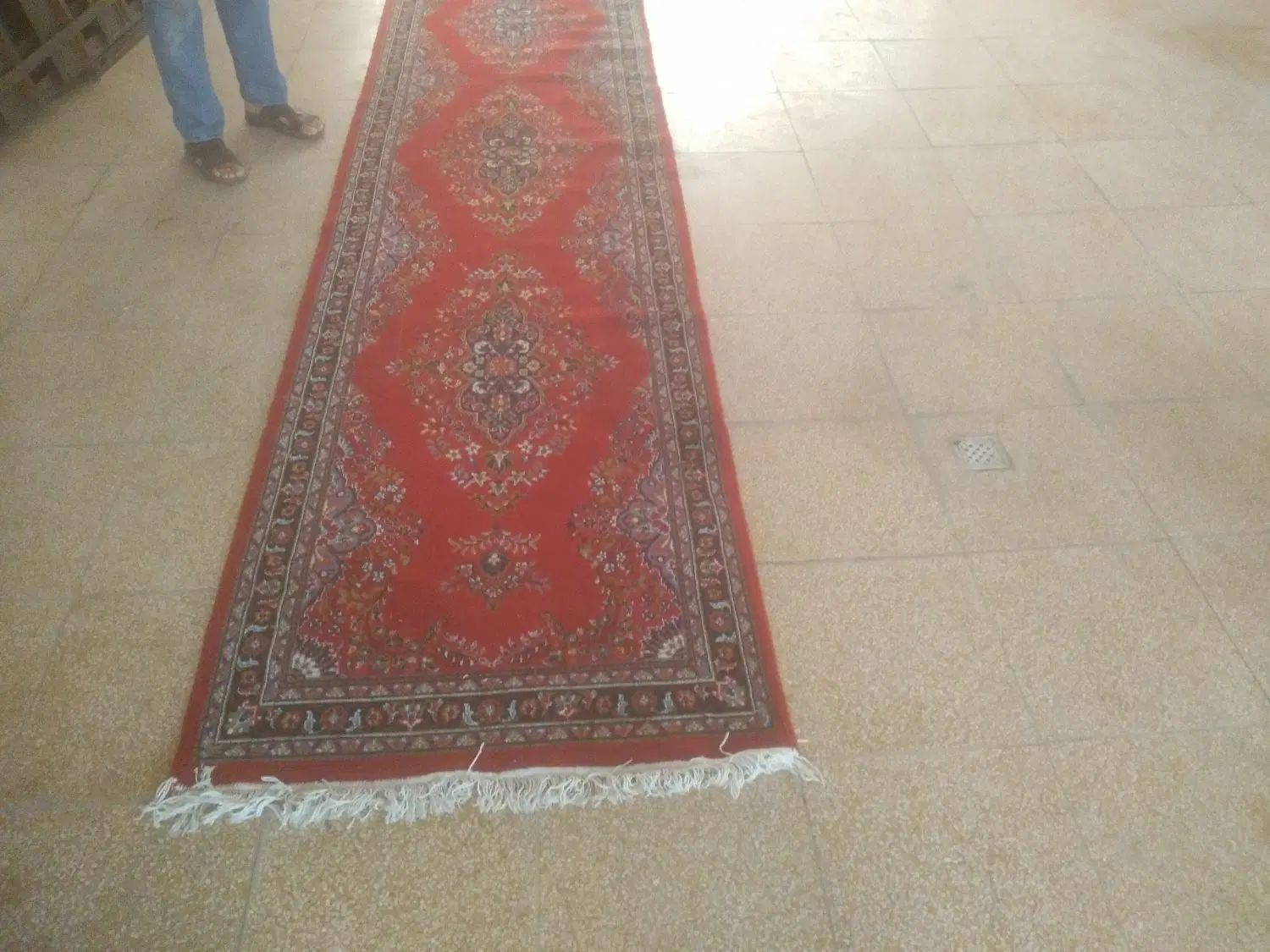 فرش ۶متری|فرش|اصفهان, گلستان|دیوار