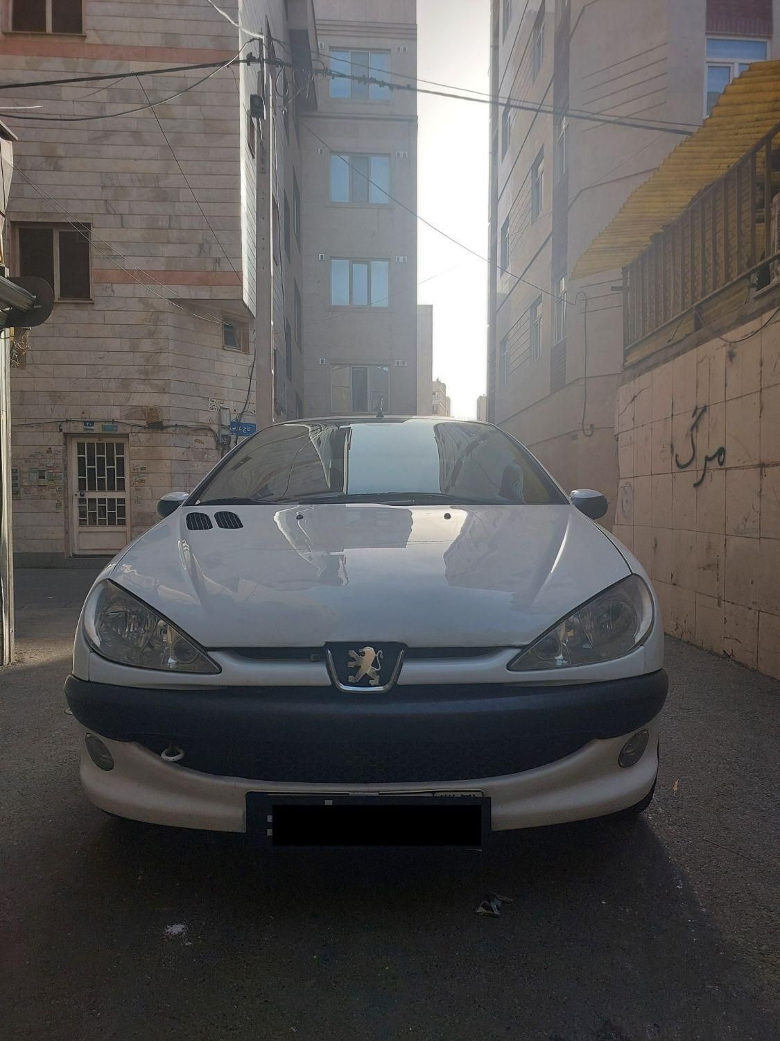206 SD مدل 95 V8|خودرو سواری و وانت|تهران, شهید دستغیب|دیوار