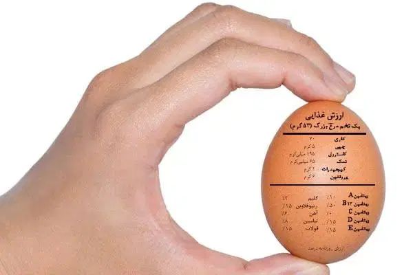 بازریاب|استخدام بازاریابی و فروش|مشهد, امیریه|دیوار