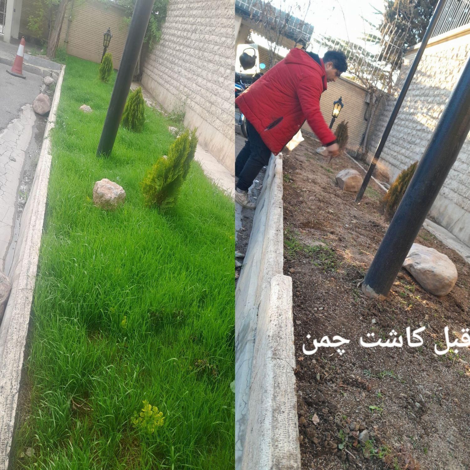 سمپاشی وباغبانی بادستگاههای مجهزی درتمام تهران|خدمات باغبانی و درختکاری|تهران, شهرک غرب|دیوار