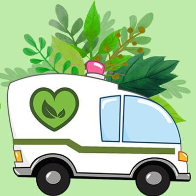 امداد گیاه ( مشاوره رایگان )|خدمات باغبانی و درختکاری|شیراز, شاه قلی بیگی|دیوار