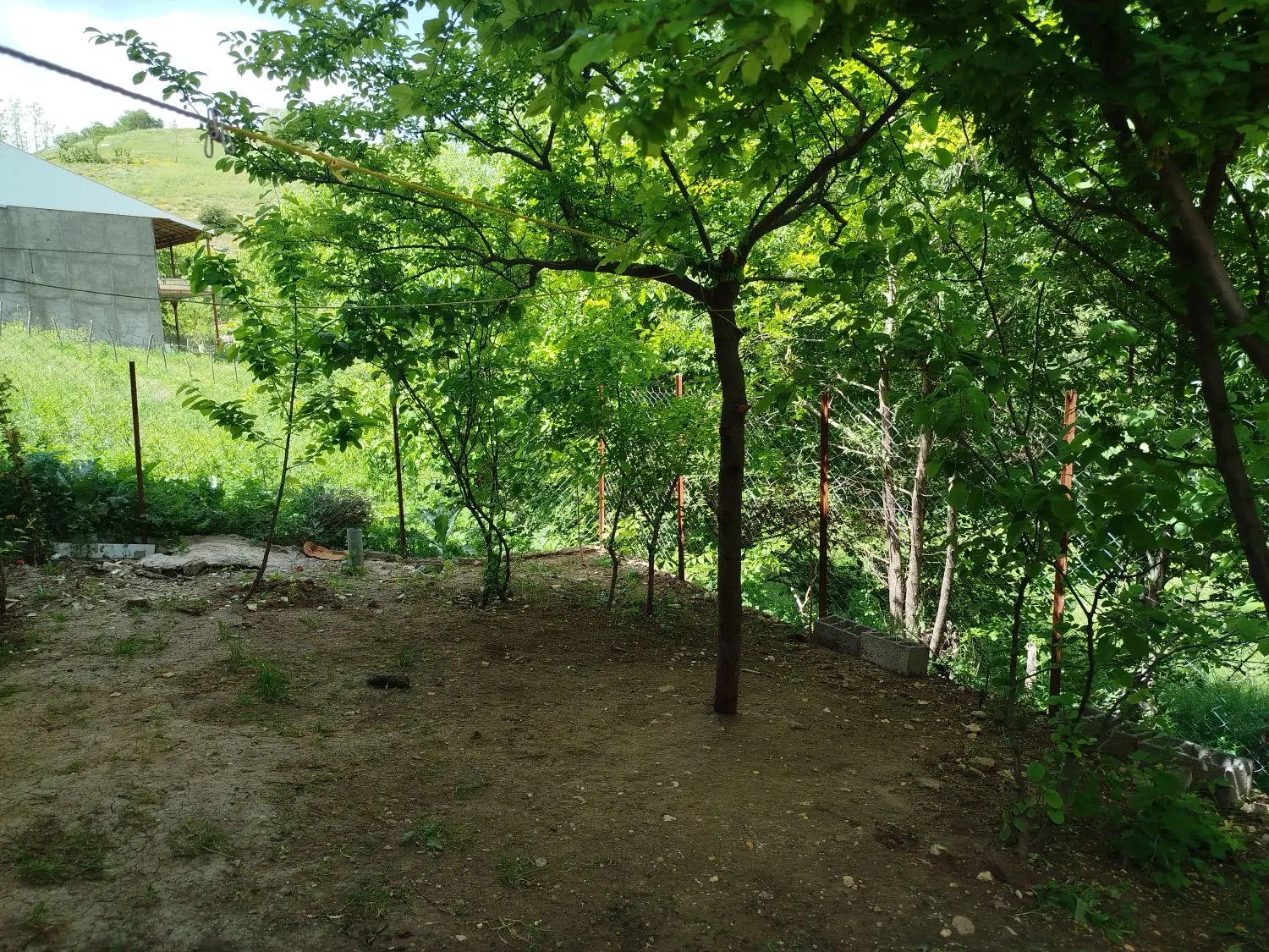 فروش منزل مسکونی در دیلمان روستای کوه پس|فروش خانه و ویلا|دیلمان, |دیوار