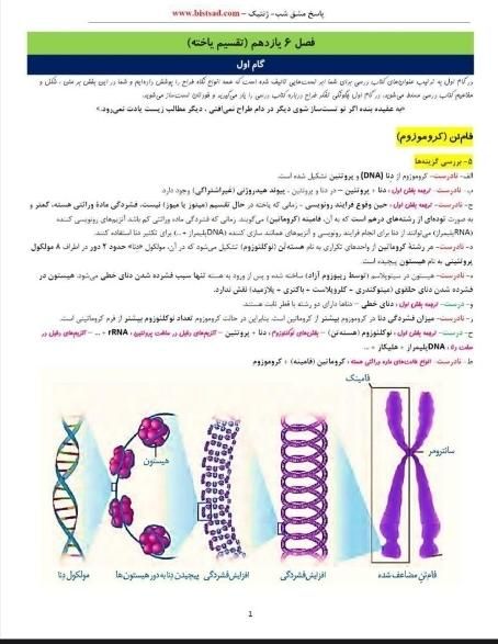 زیست و زمین شعبانی شاکری بیستصد / شیمی شیروانی|فعالیت داوطلبانه|تهران, افسریه شمالی|دیوار