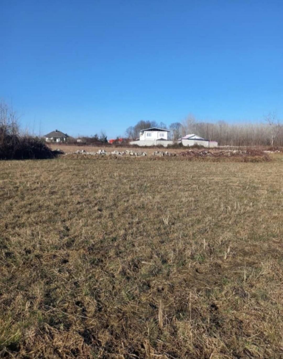 زمین باغی خارج طرح مناسب درختکاری|فروش دفتر صنعتی، کشاورزی، تجاری|صومعه‌سرا, |دیوار