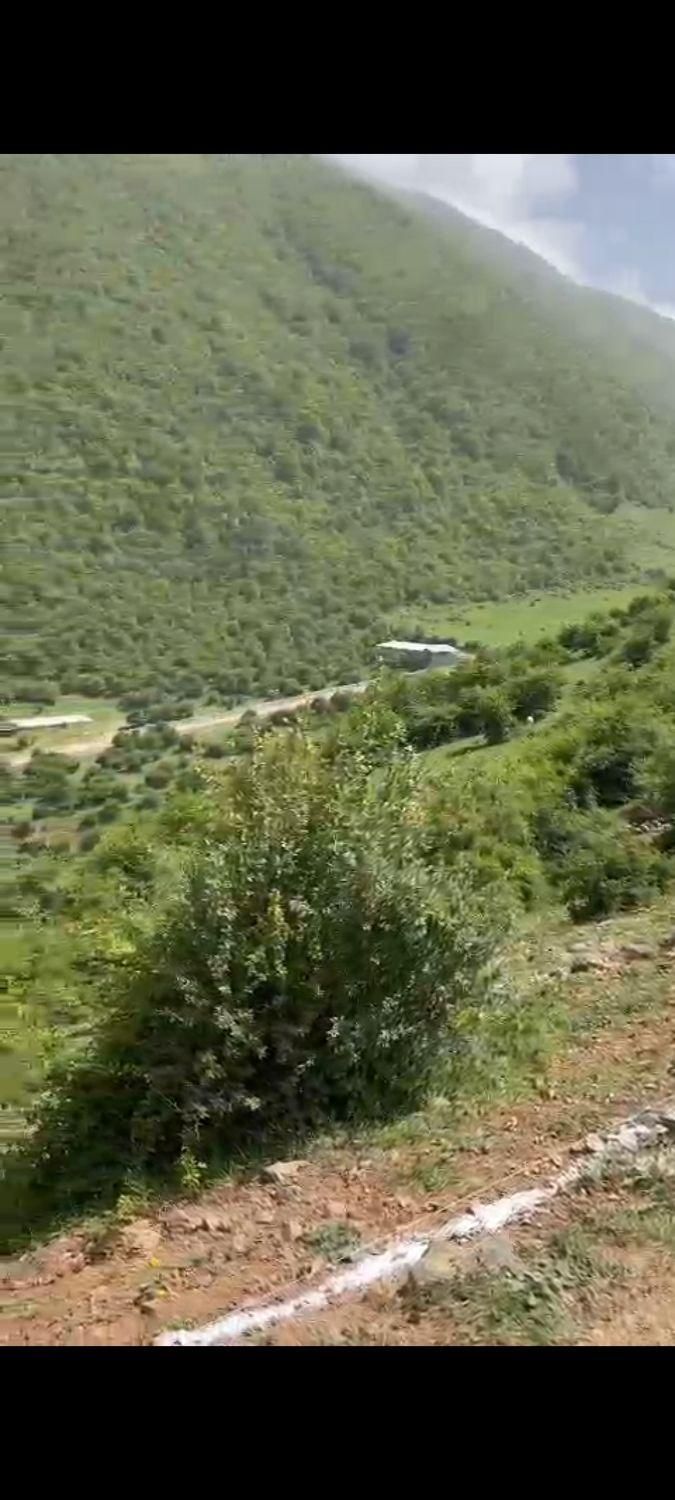 فروش زمین ویلایی|فروش زمین و ملک کلنگی|تهران, هفت چنار|دیوار