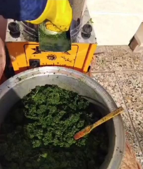 سبزی تازه|خوردنی و آشامیدنی|مسجد سلیمان, |دیوار