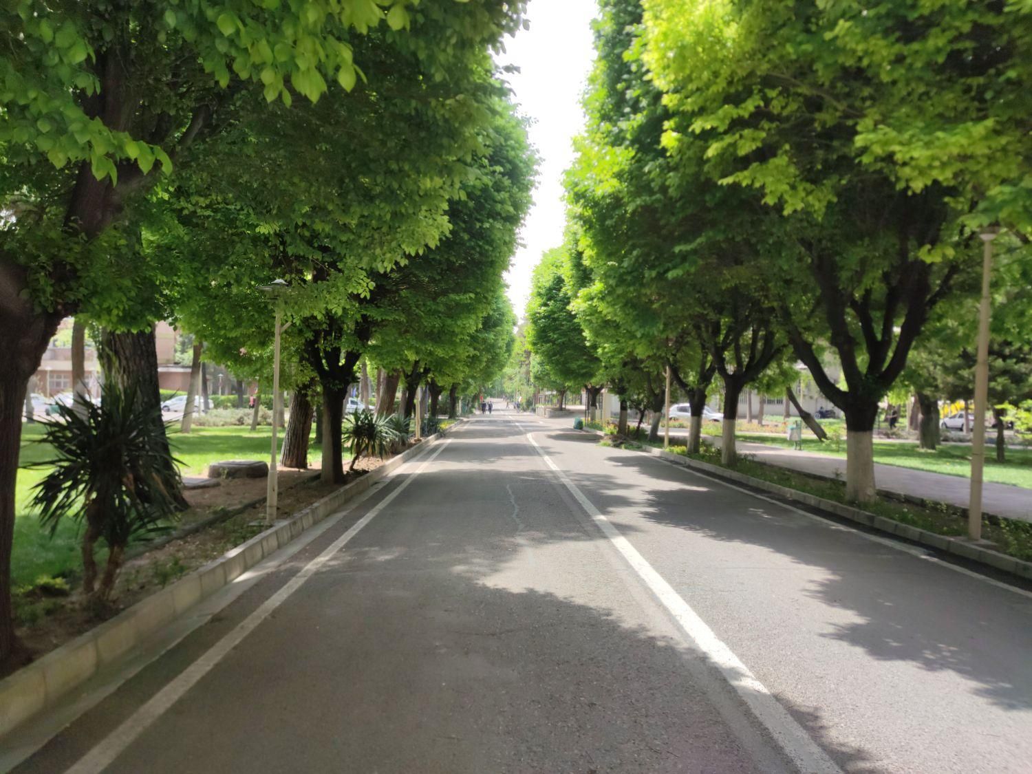 فضای کار اختصاصی و اشتراکی|اجارهٔ دفتر کار، اتاق اداری، مطب|تهران, علم و صنعت|دیوار