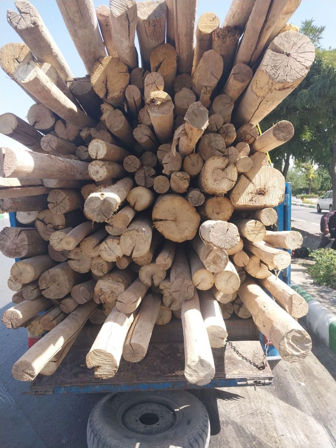 فروش و خرید چوب سقفی و انواع چوب درخت|عمدهفروشی|مشهد, بهمن|دیوار