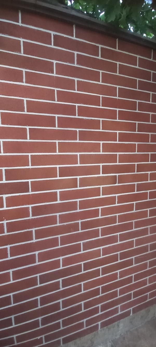 بندکشی بدون چسب و درجه یک وبا قیمت پایین|خدمات پیشه و مهارت|یزد, |دیوار