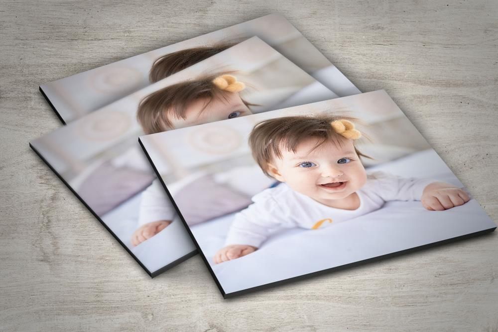 چاپ شاسی عکس|تابلو، نقاشی، عکس|شیراز, ارم|دیوار