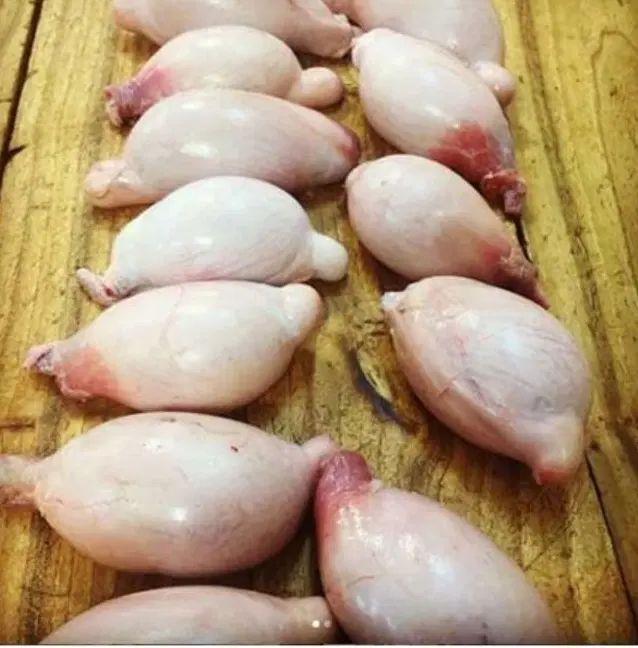 دنبلان تازه گوسفندی ارسال رایگان|خوردنی و آشامیدنی|مشهد, توس (بلوار توس)|دیوار