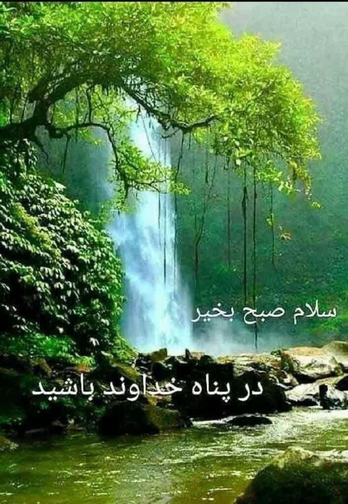 استخدام حسابدار خانم|استخدام مالی، حسابداری، حقوقی|تهران, زعفرانیه|دیوار