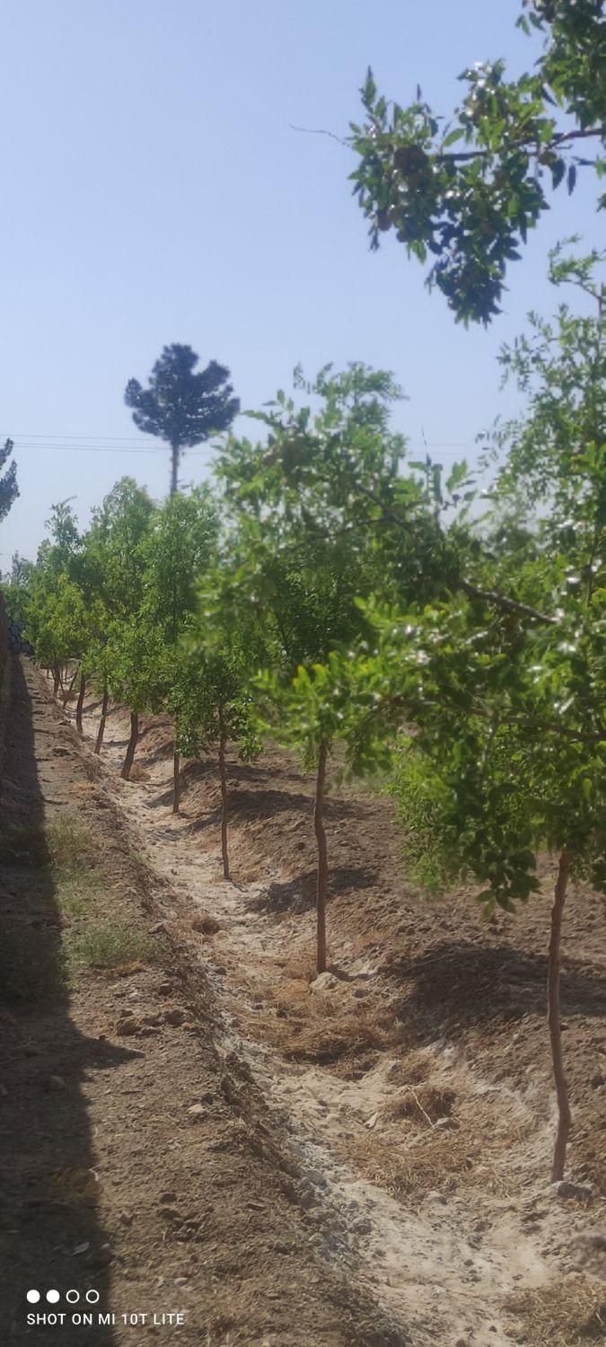 تصویر 12
