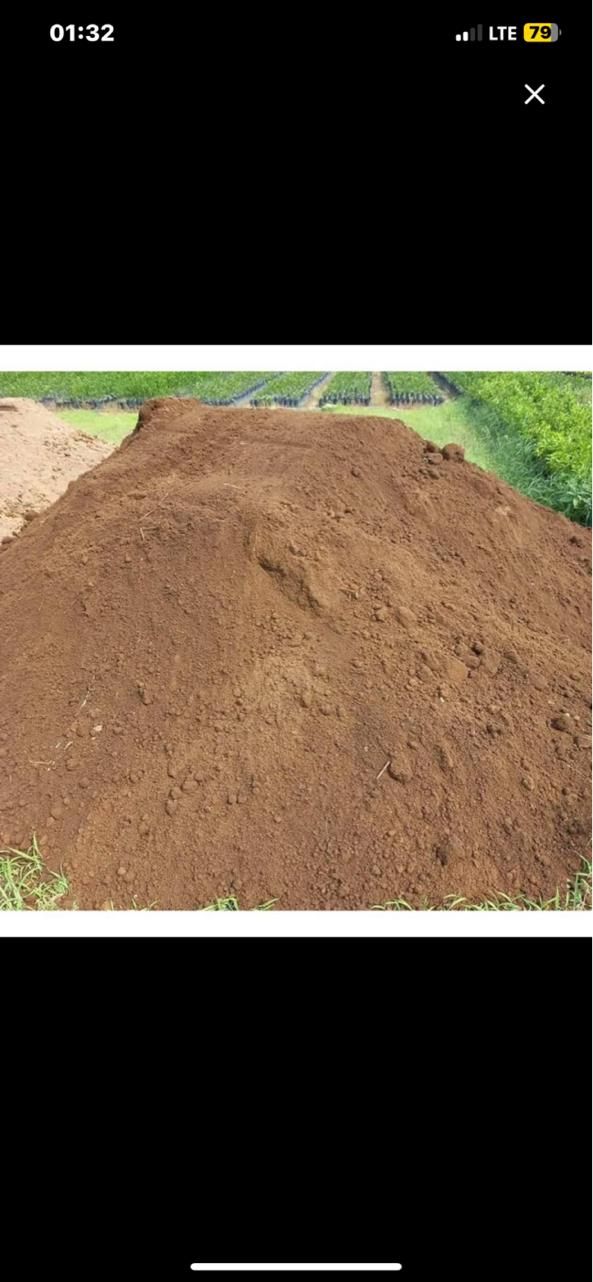 خاک باغچه، کود|خدمات باغبانی و درختکاری|پردیس, فاز ۲|دیوار