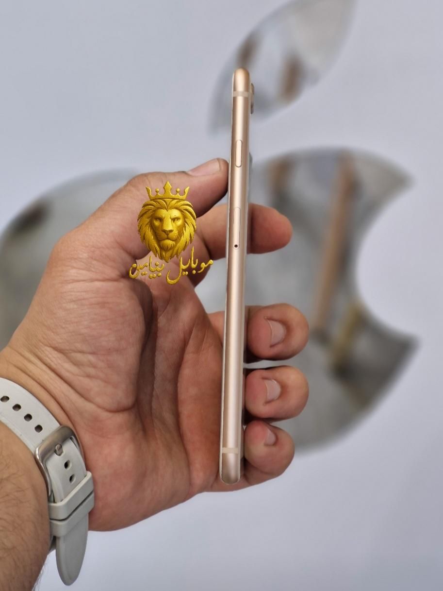 اپل iPhone 8 Plus پک اصلی سلامت تست شده|موبایل|رشت, لاکانی|دیوار