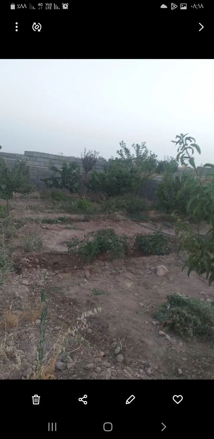 فروش باغ  ۲۰۰ و ۳۰۰ متری در شهرک خور هشتگرد|فروش زمین و ملک کلنگی|هشتگرد, خور|دیوار