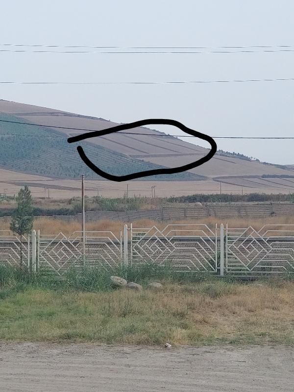 فروش زمین کشاورزی ۱۸۰۰۰متر مربع|فروش زمین و ملک کلنگی|نوده خاندوز, |دیوار