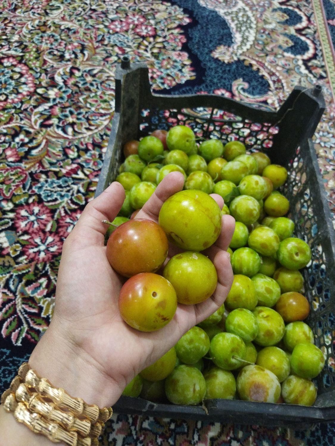 الو قطره طلا شیرین پر آب|خوردنی و آشامیدنی|چناران, |دیوار