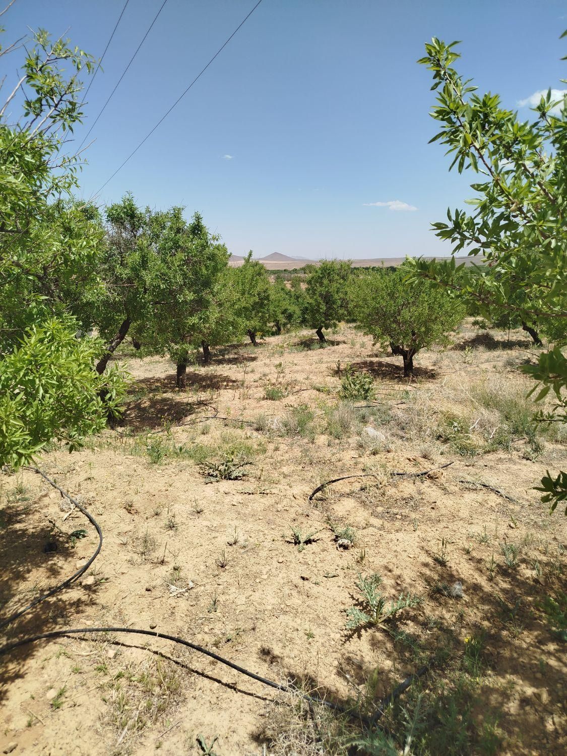 فروش باغ۵۶۰ متری محدوده پل زمانخان روستایی ش|فروش زمین و ملک کلنگی|اصفهان, آزادگان|دیوار
