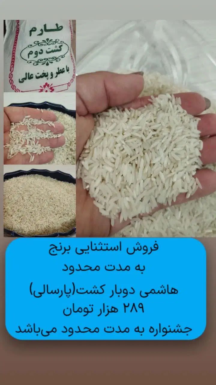 برنج طارم هاشمی کشت دوم|خوردنی و آشامیدنی|تهران, مجیدآباد|دیوار