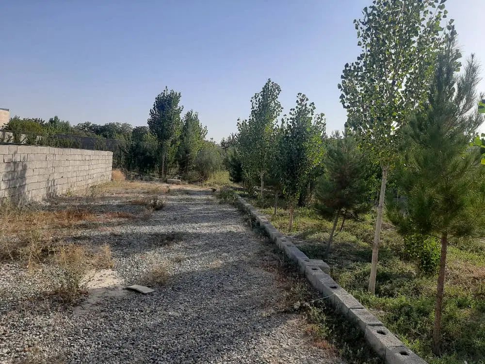زمین سرسبز،چهاردیواری،چهارباغ کمربندی رامجین.|فروش زمین و ملک کلنگی|تهران, درختی|دیوار