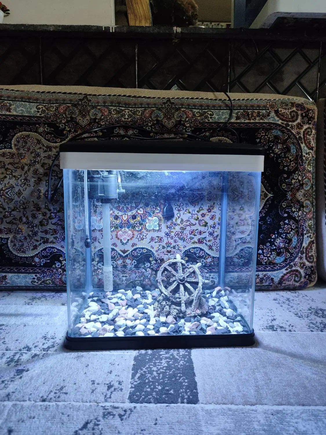 آکفاریوم دلسا k320|ماهی|تهران, نیروی هوایی (پیروزی)|دیوار