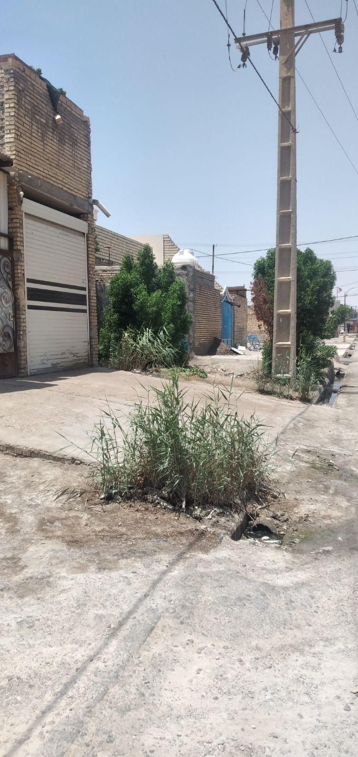 فروش زمین‌خیابان اصلی بعد مدن ۷ به متراژ ۱۴۰ متر|فروش زمین و ملک کلنگی|آبادان, |دیوار