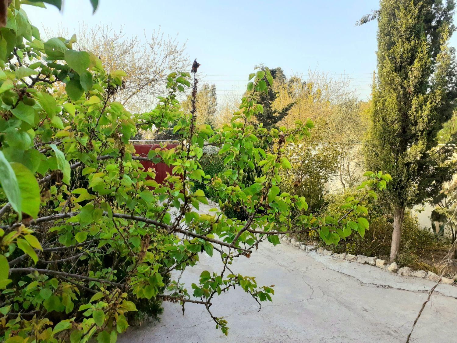 اجاره ویلا در فرح آباد جاده پلاژ نزدیک به دریا|اجارهٔ کوتاهمدت ویلا و باغ|ساری, |دیوار