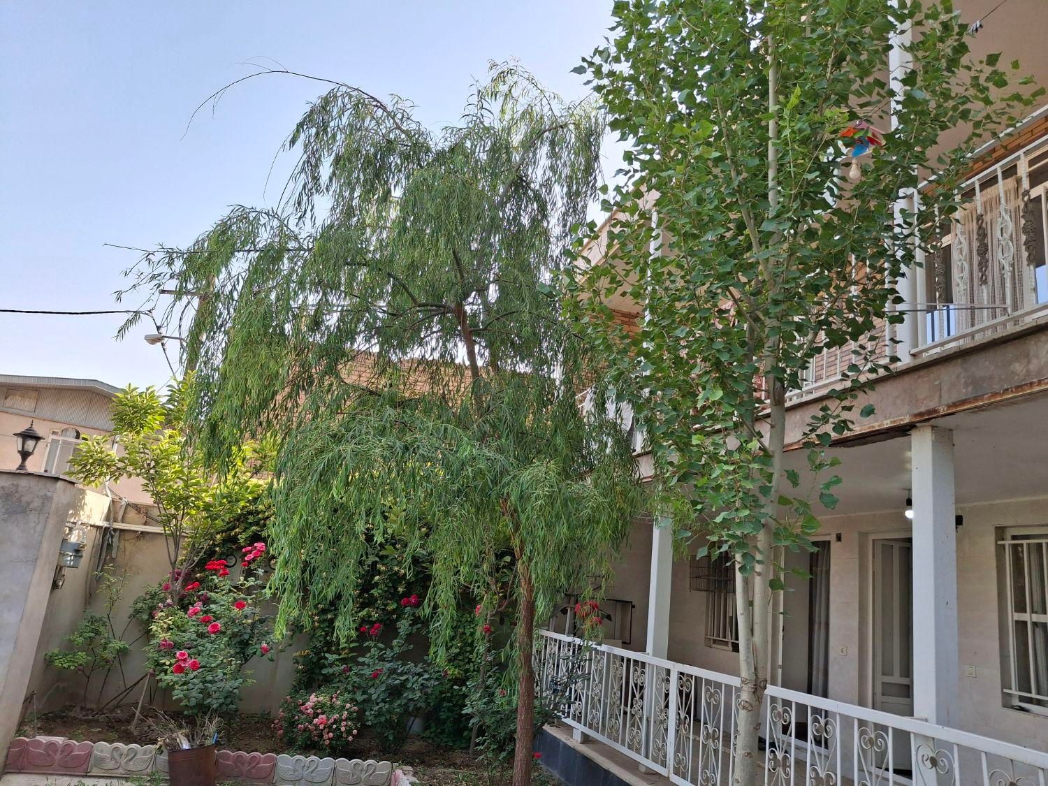 500زمین واقع در شلمزار منطقه کوهستانی|فروش خانه و ویلا|هشتگرد, هیو|دیوار