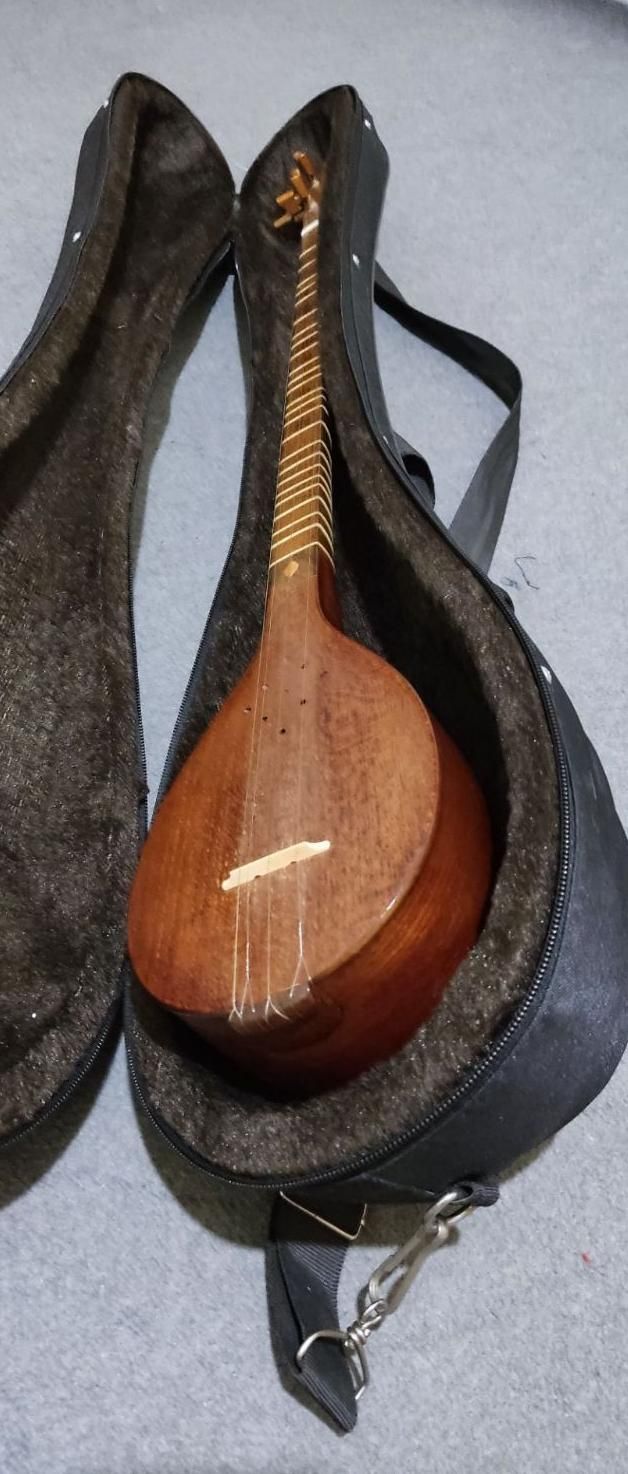 سه تار هاتف ملکشاهی|سازهای سنتی|تهران, آذری|دیوار