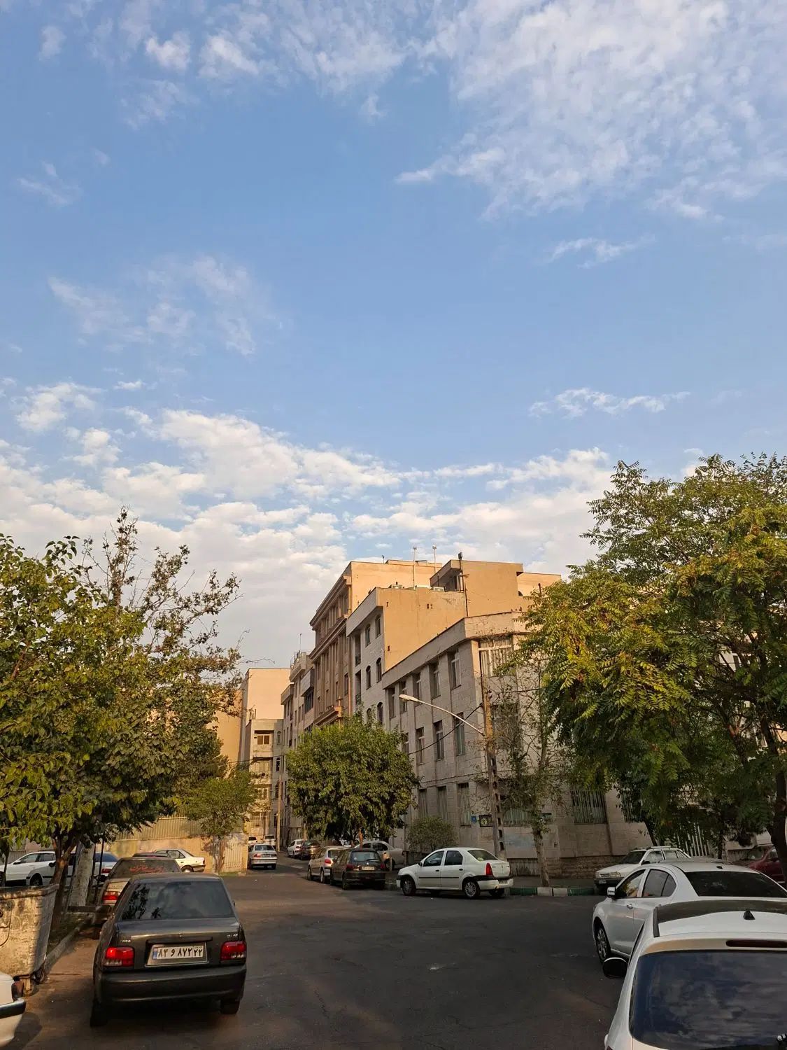 ۱۶۶ متر بر ۷ونیم شمالی یکی از تاپ میدان های نارمک|فروش زمین و ملک کلنگی|تهران, نارمک|دیوار