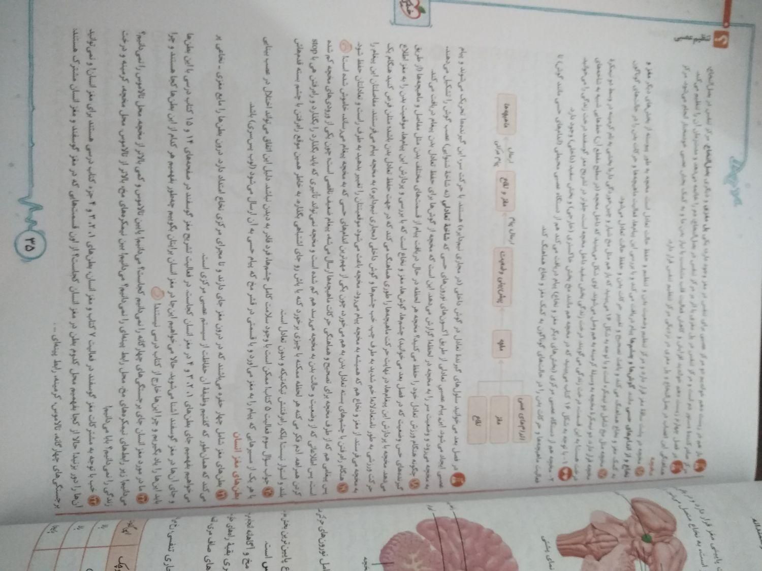 کتاب کنکور زیست یازدهم خیلی سبز|لوازم التحریر|شهرکرد, |دیوار