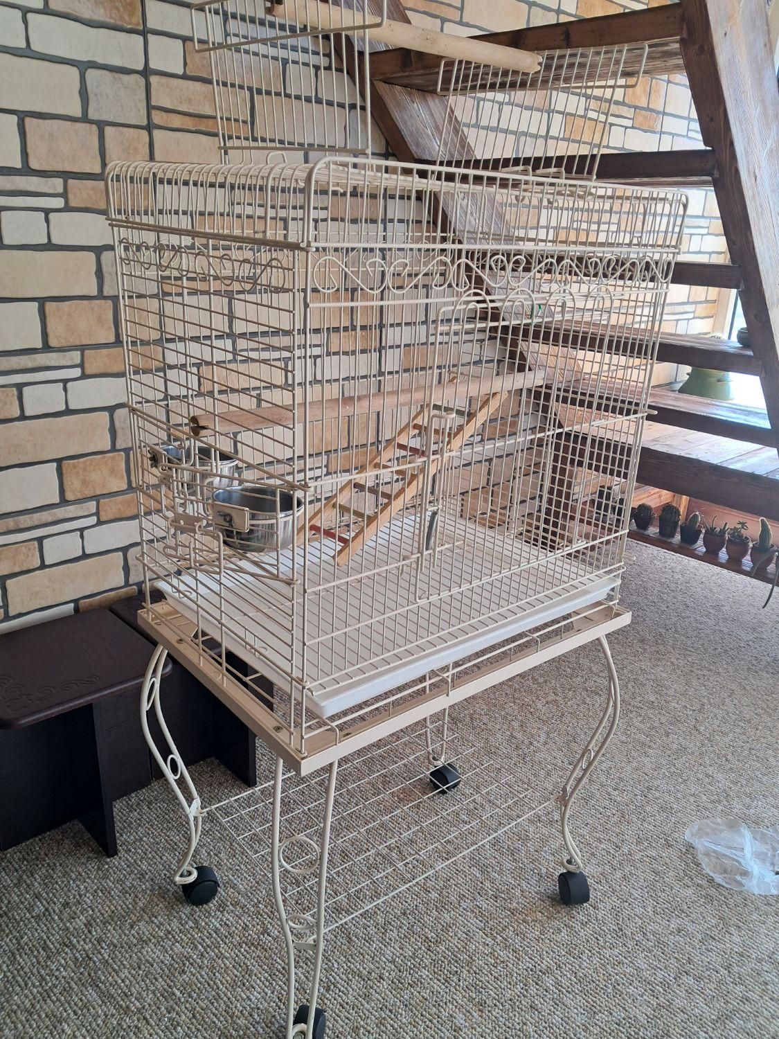 قصر عروس هلندی|لوازم جانبی حیوانات|رشت, حومه رشت|دیوار